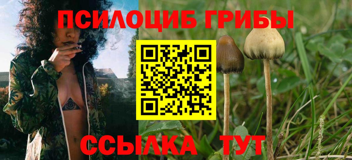 Псилоцибиновые грибы Psilocybe  Галлюциногенные грибы Psilocybine cubensis  где купить   Вход с VPN  Курганинск 